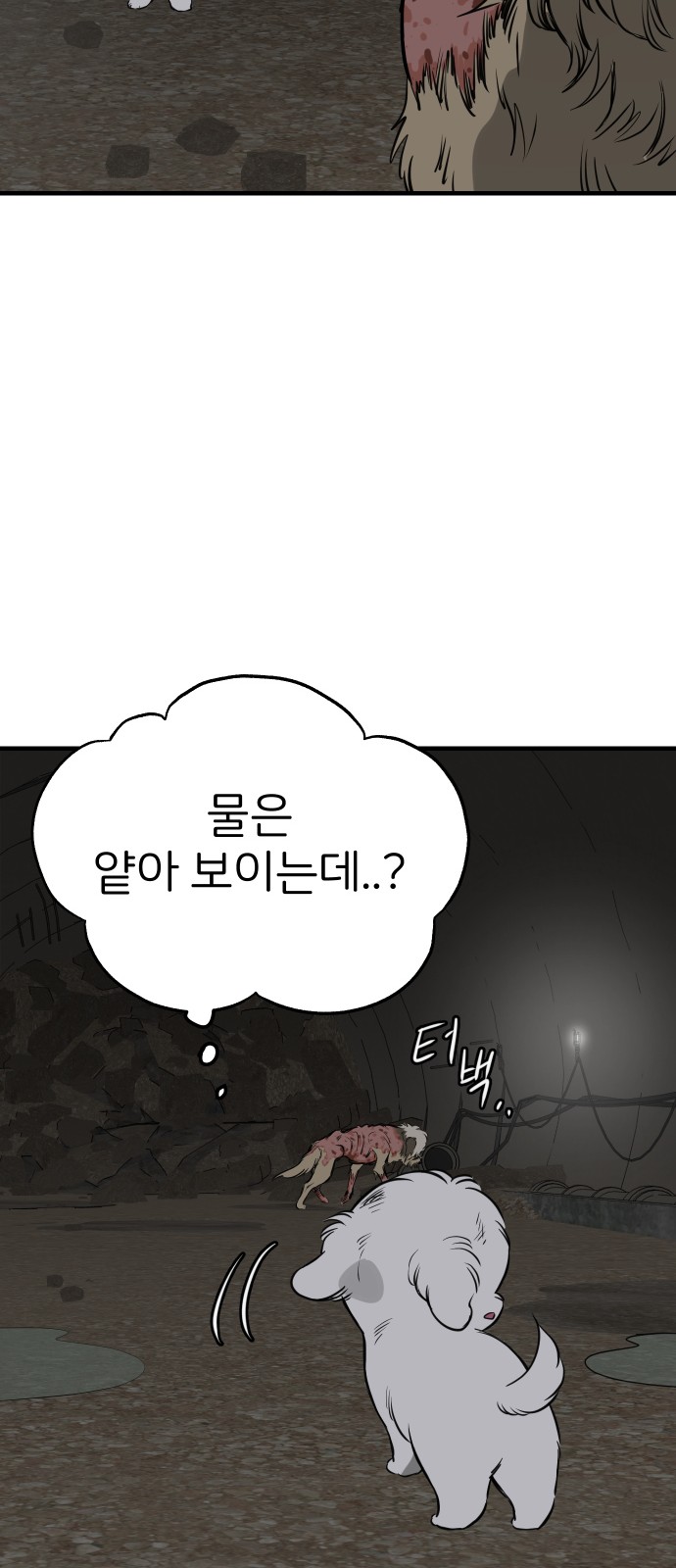 14 페이지