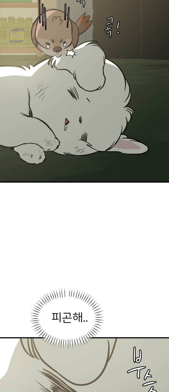 24 페이지