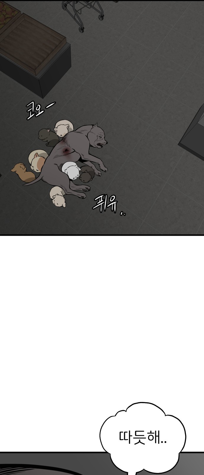 64 페이지
