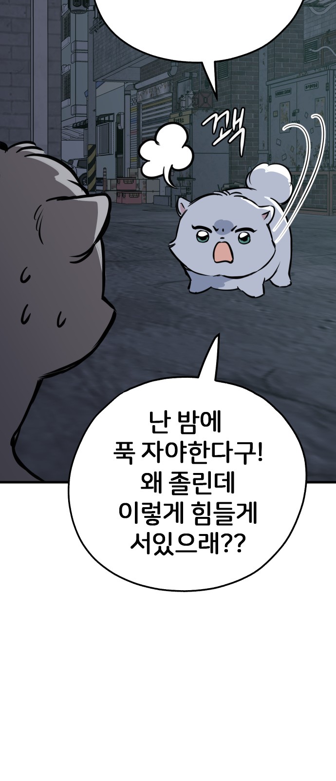 68 페이지