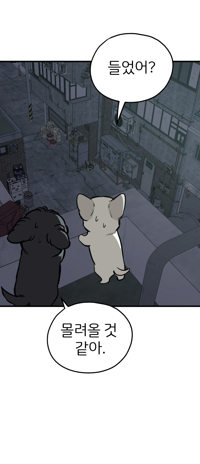 79 페이지