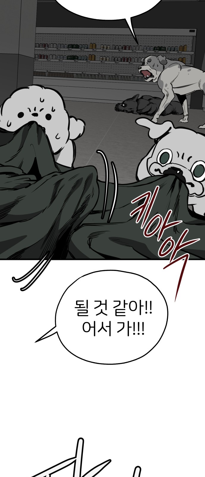 55 페이지