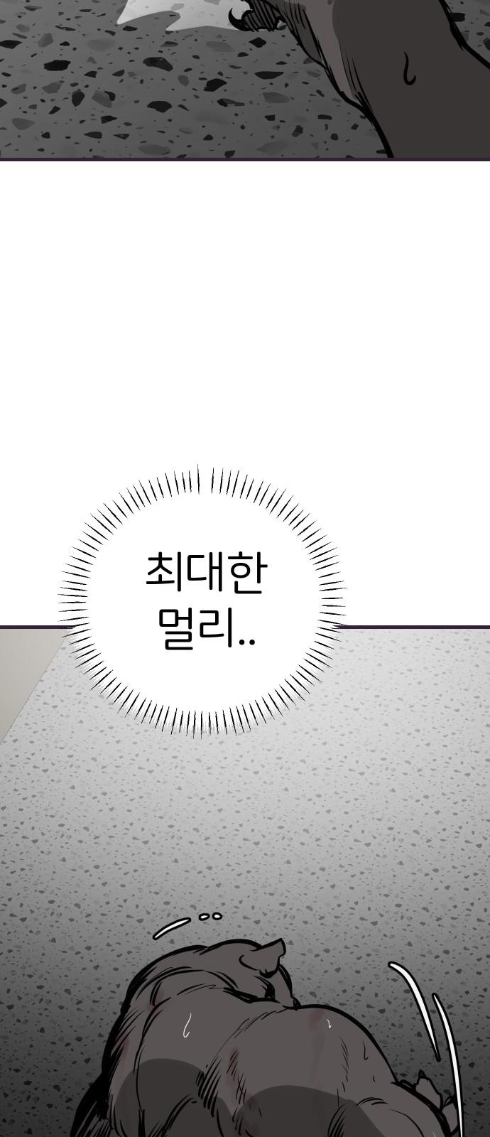 80 페이지