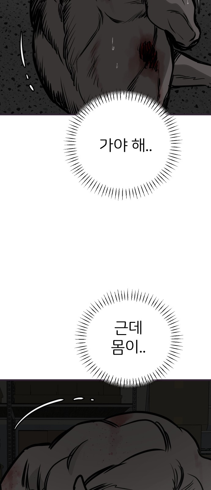 81 페이지