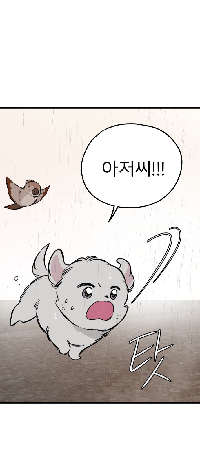 50 페이지
