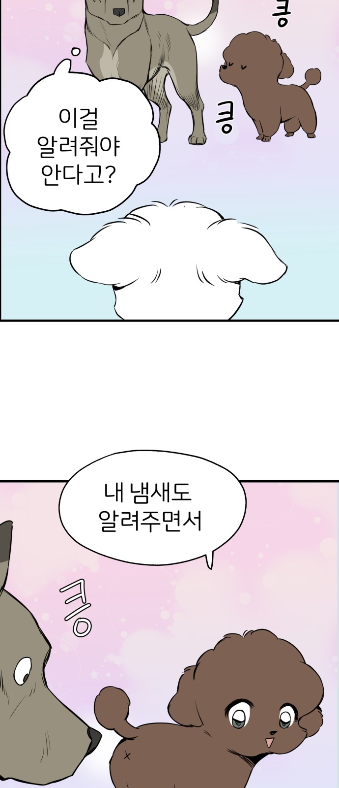 41 페이지