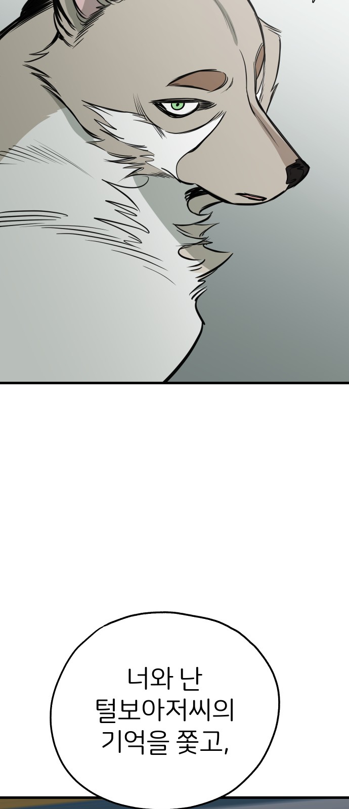 62 페이지