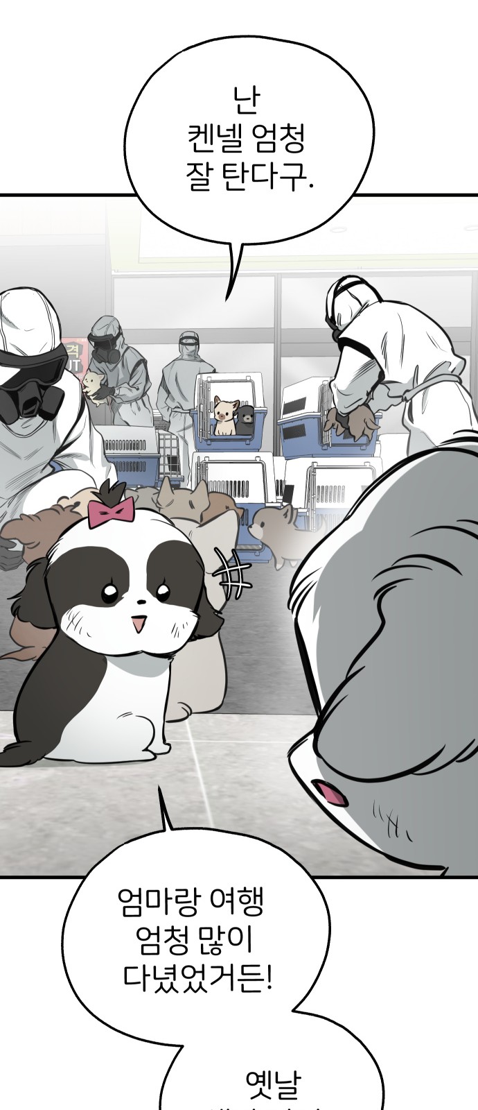 61 페이지