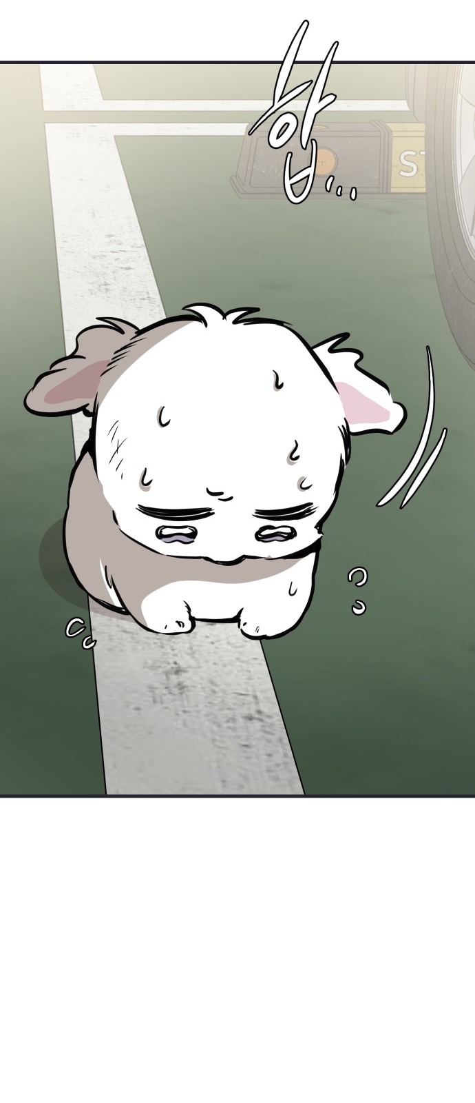 12 페이지