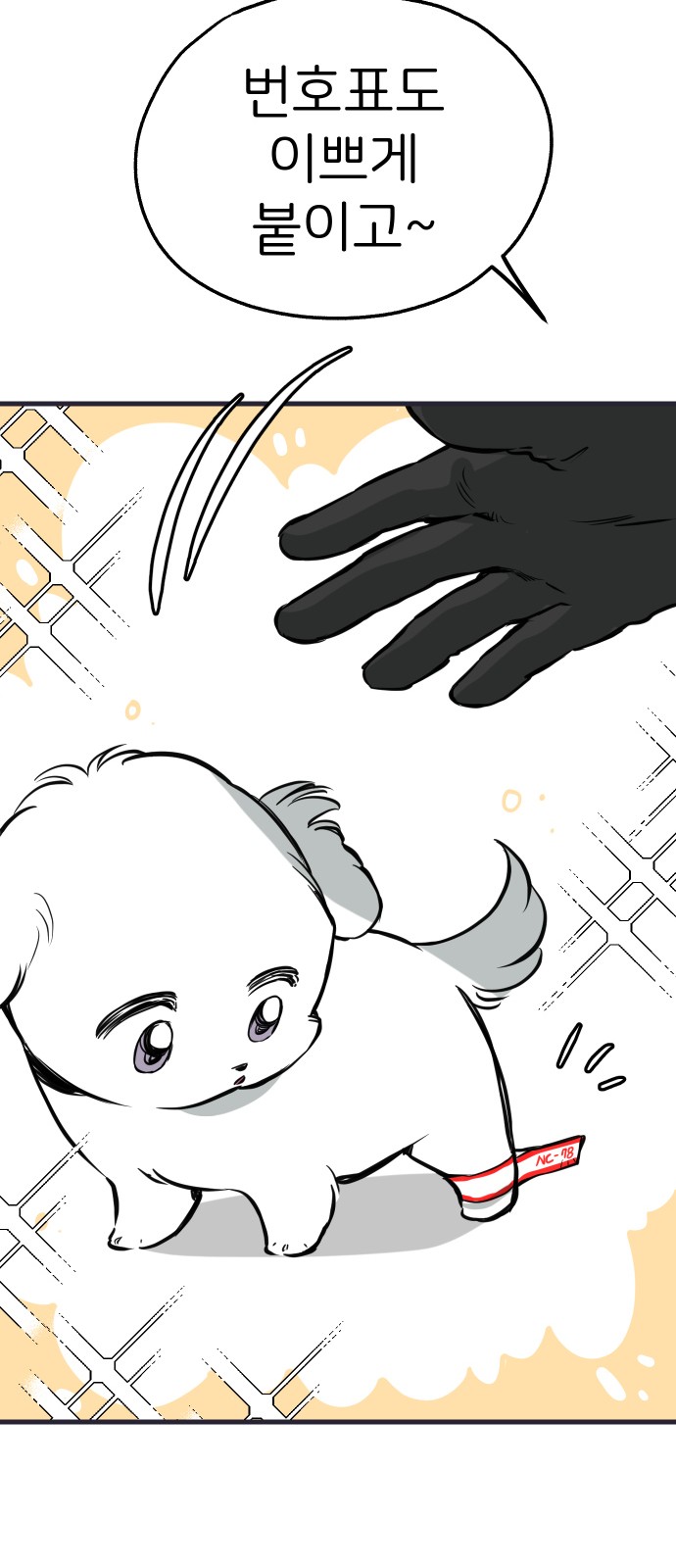 65 페이지