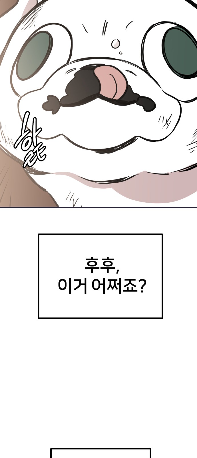 81 페이지