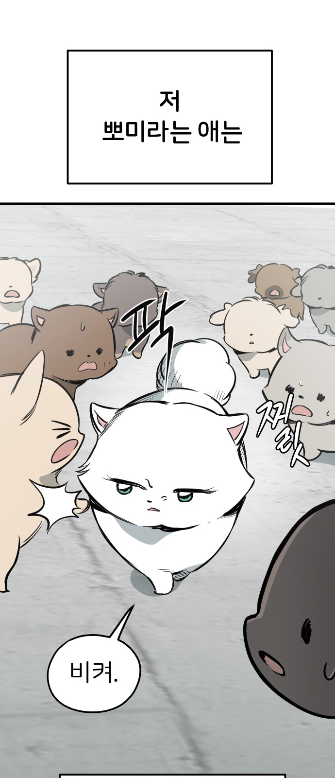 44 페이지