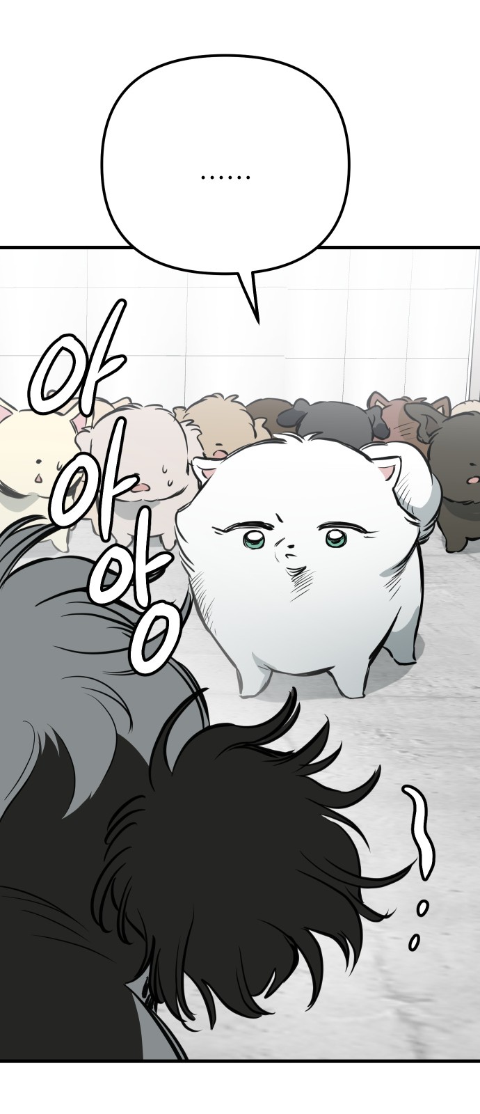 61 페이지