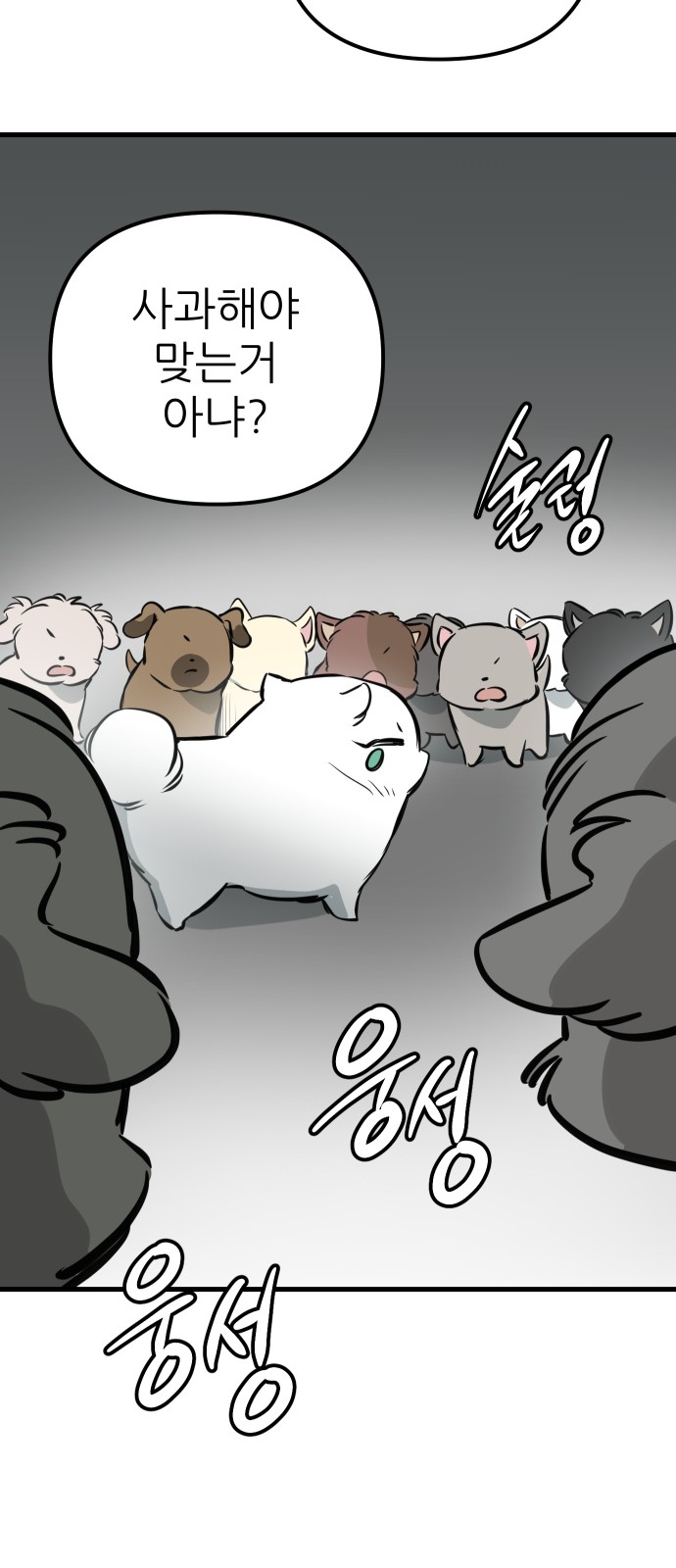 66 페이지