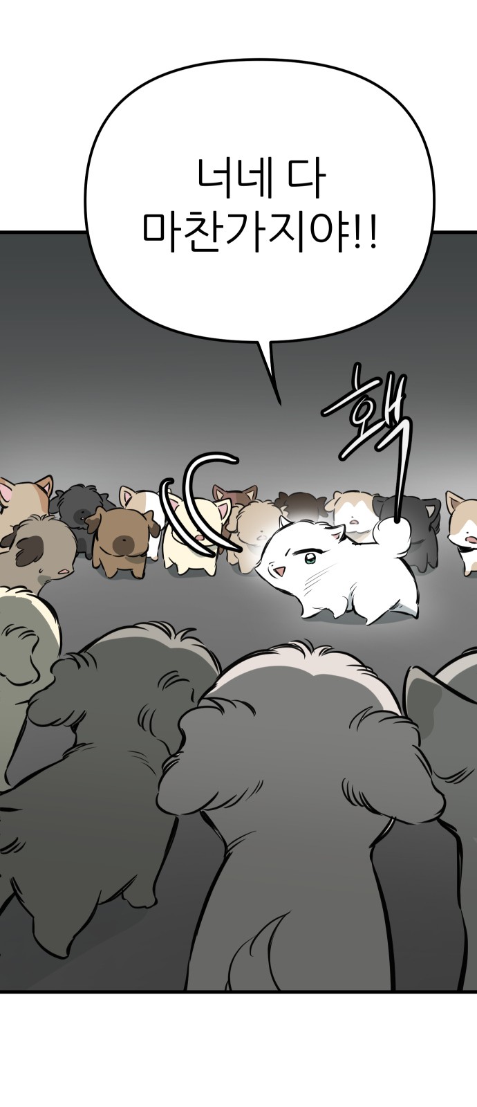 77 페이지