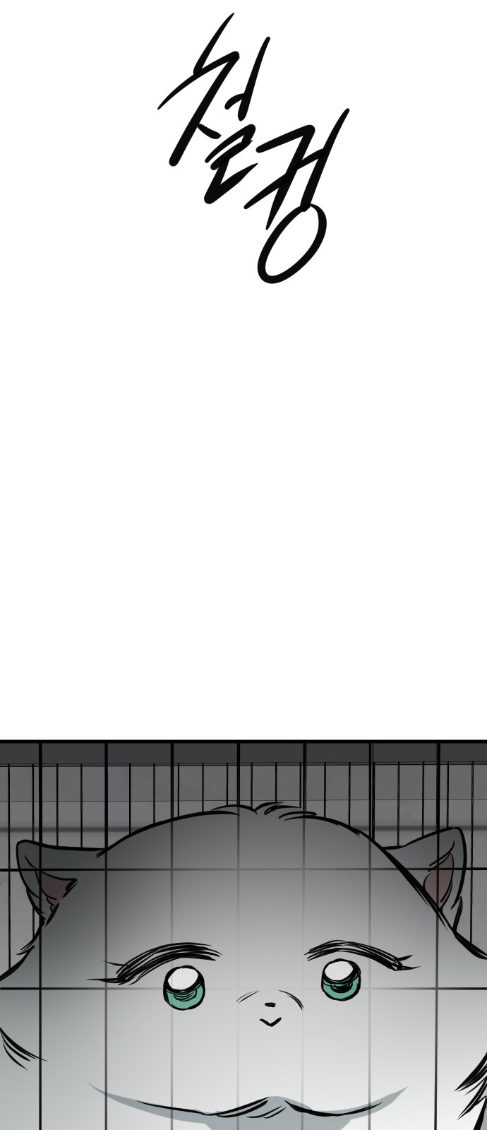 96 페이지