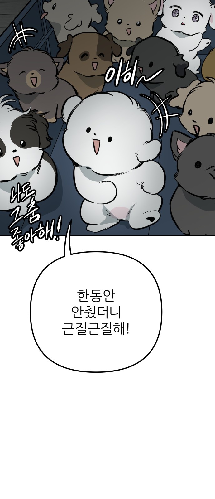 65 페이지