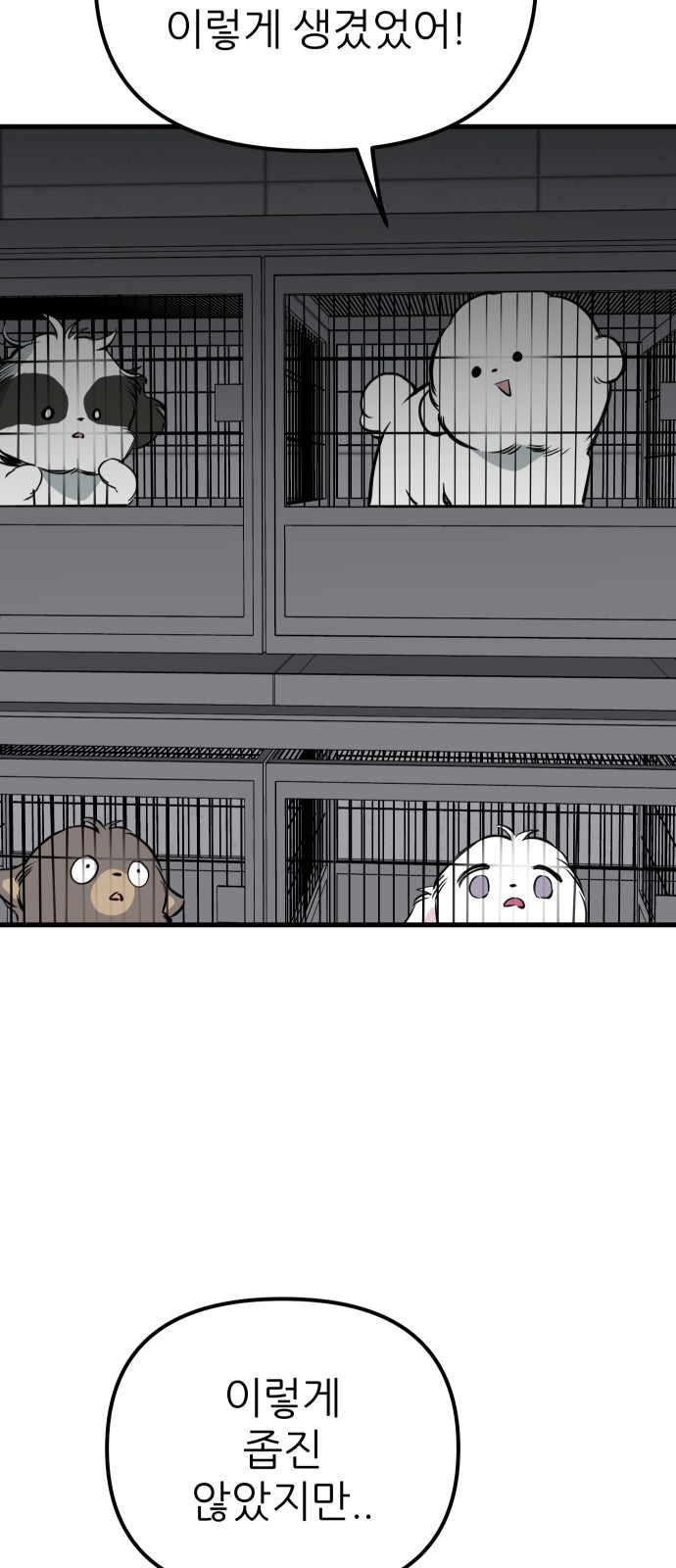 77 페이지