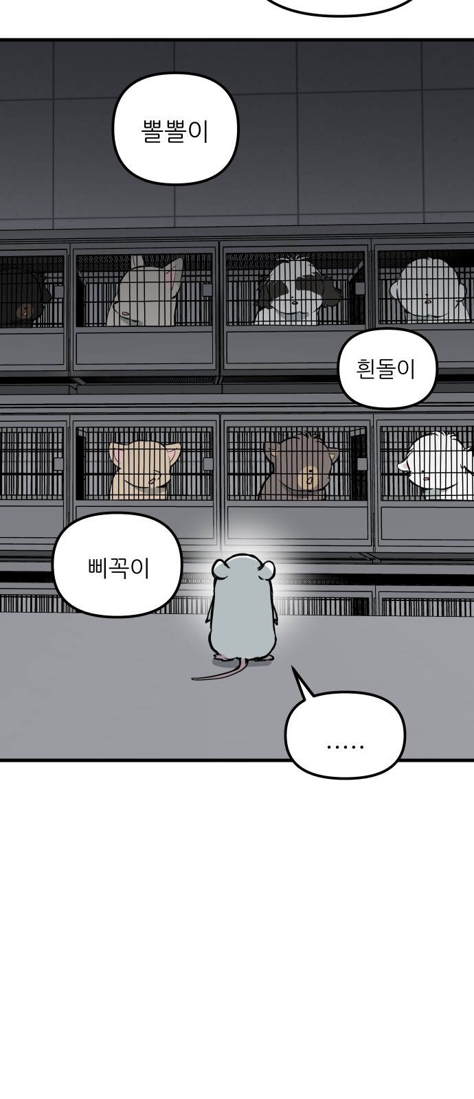 39 페이지