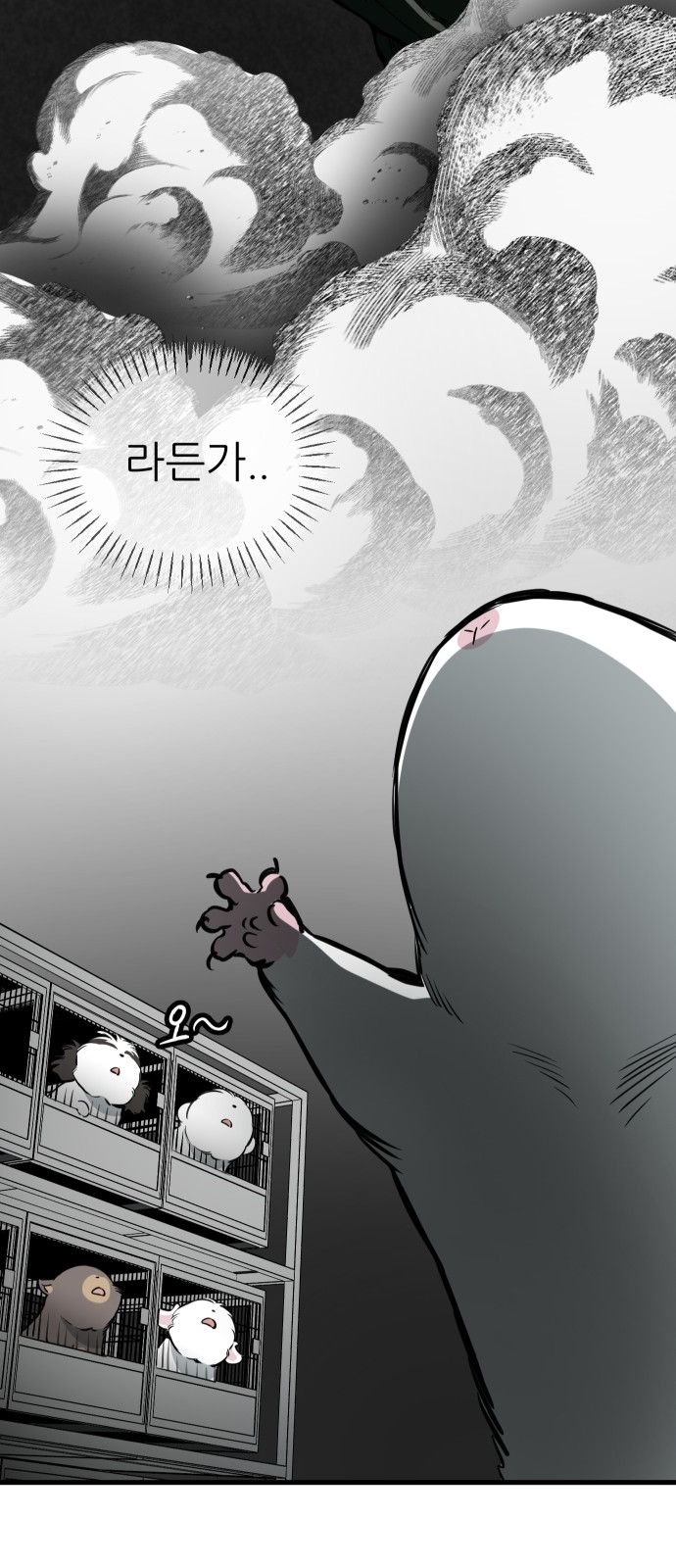 44 페이지