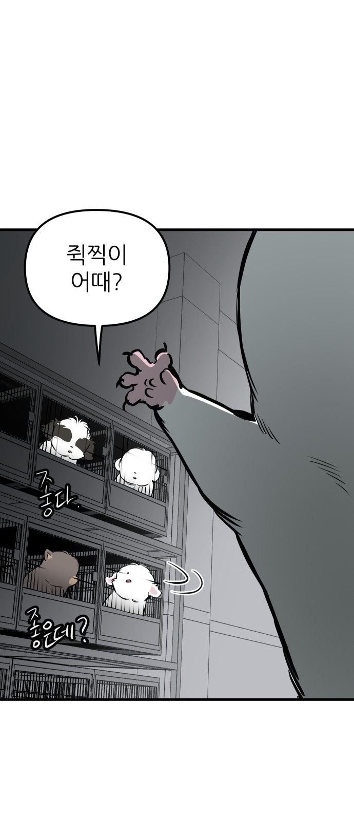 45 페이지