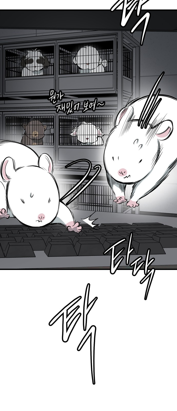 51 페이지