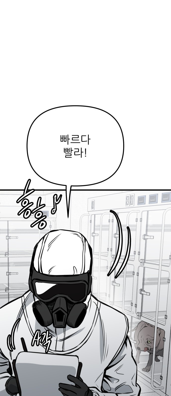80 페이지