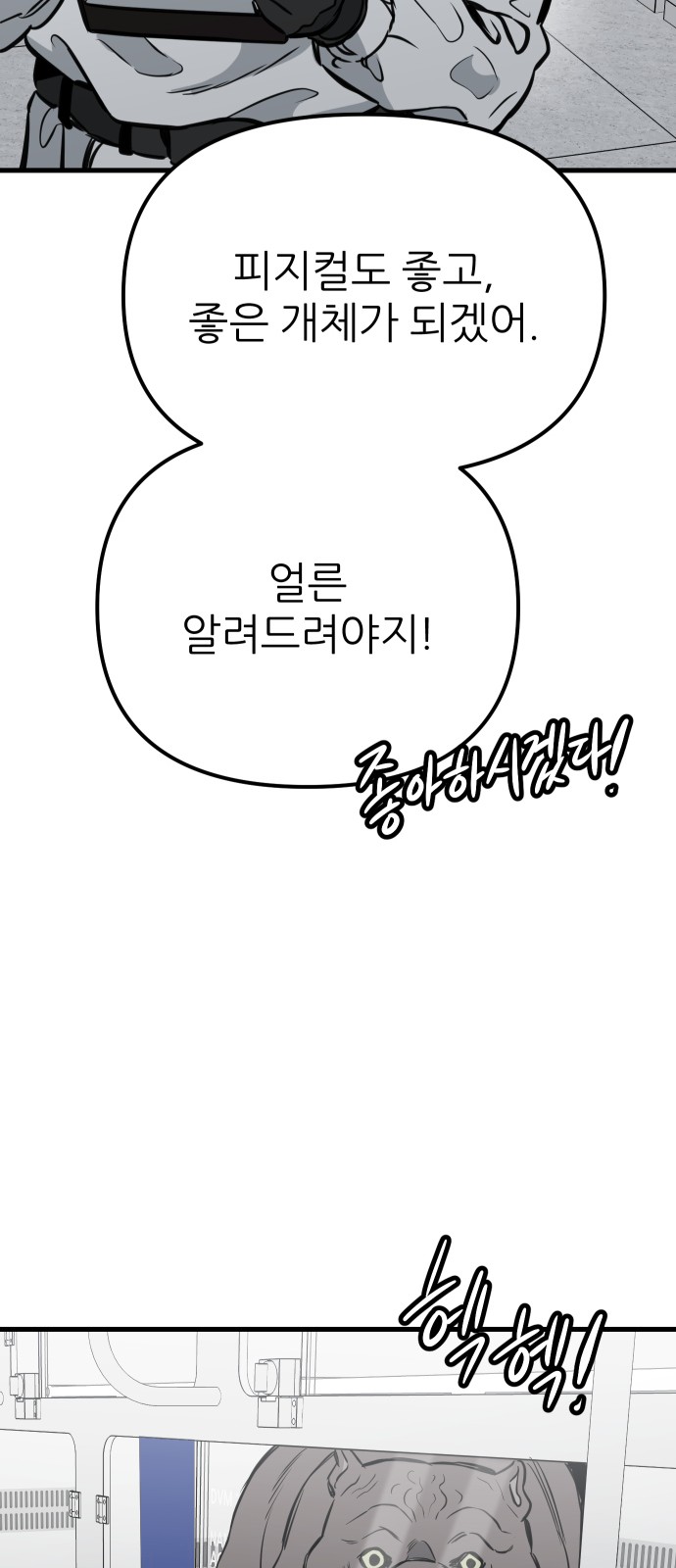 81 페이지