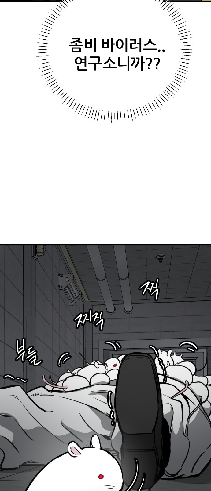 100 페이지