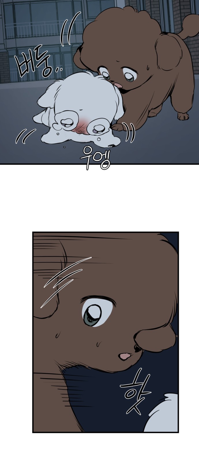 14 페이지