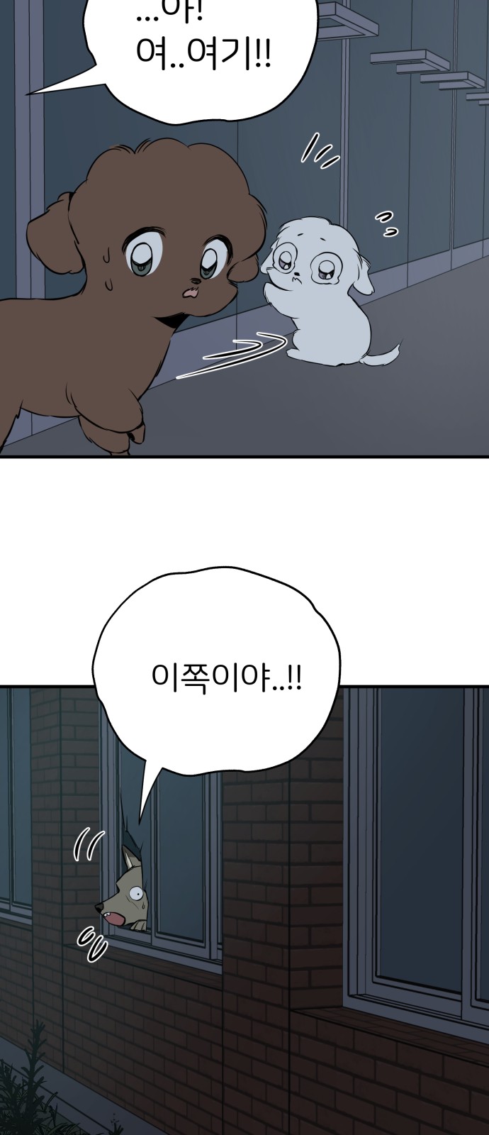 21 페이지