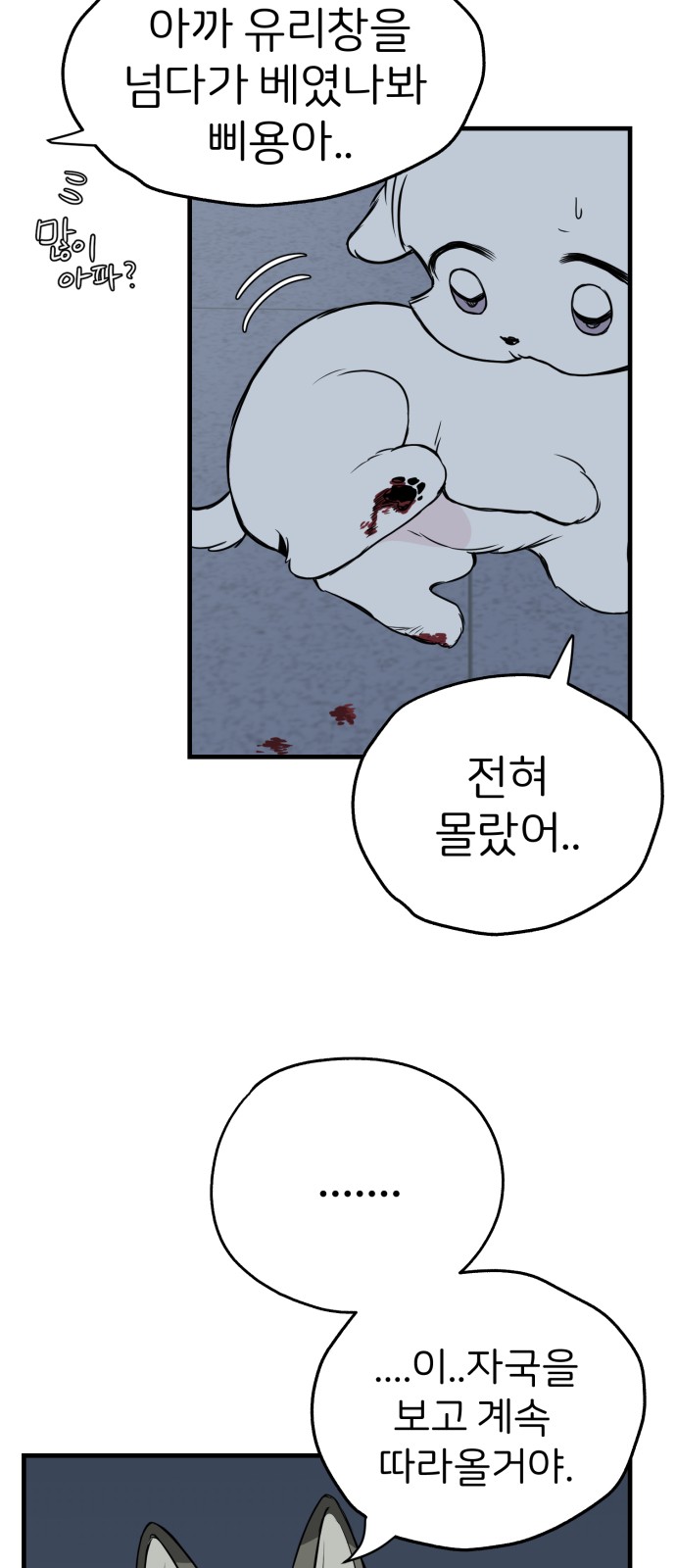 37 페이지