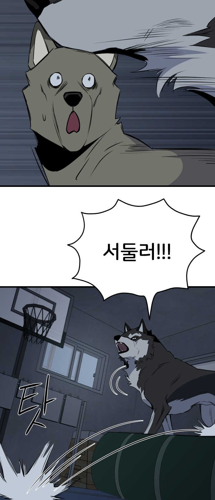 5 페이지