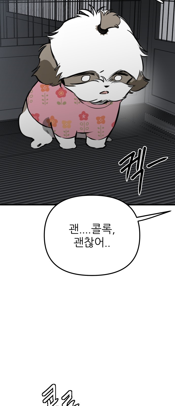 56 페이지