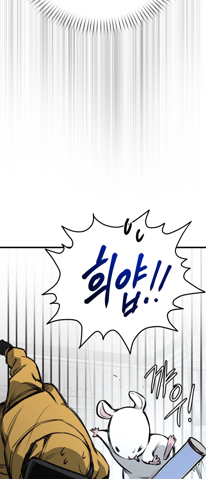 66 페이지