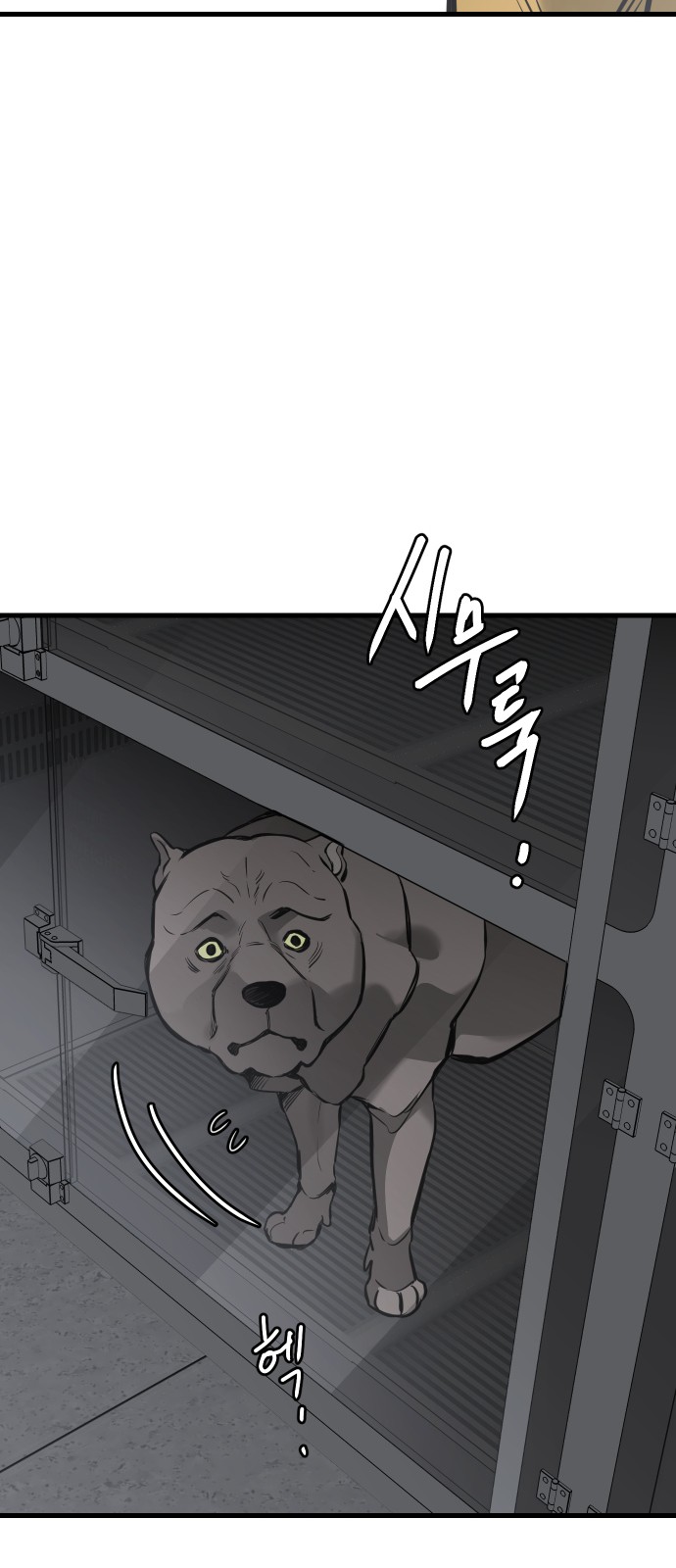 98 페이지