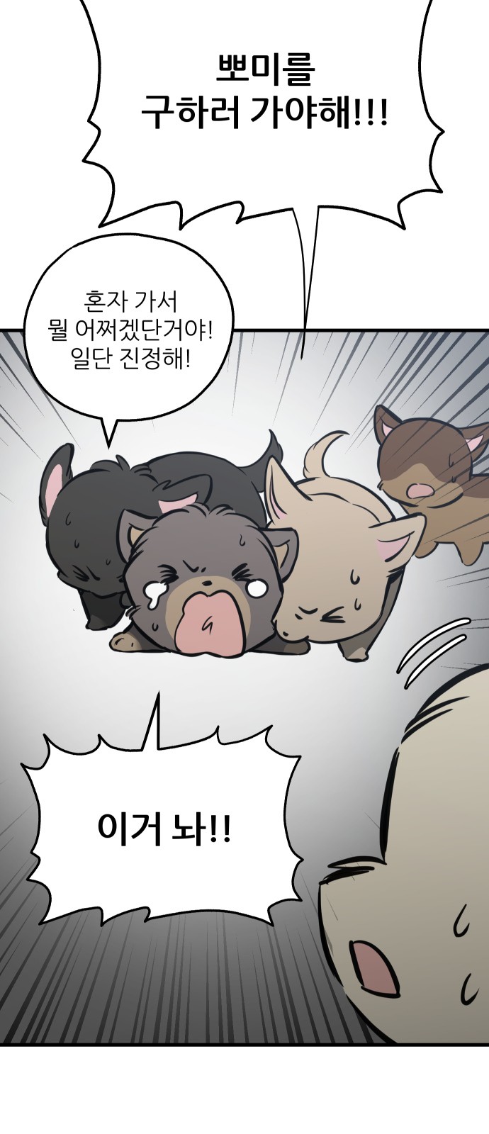 41 페이지