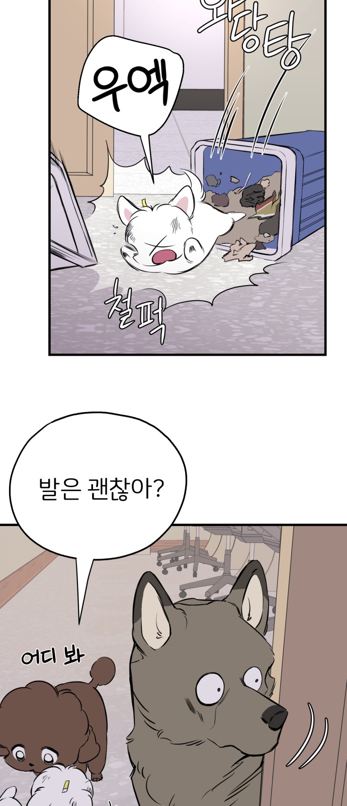 31 페이지