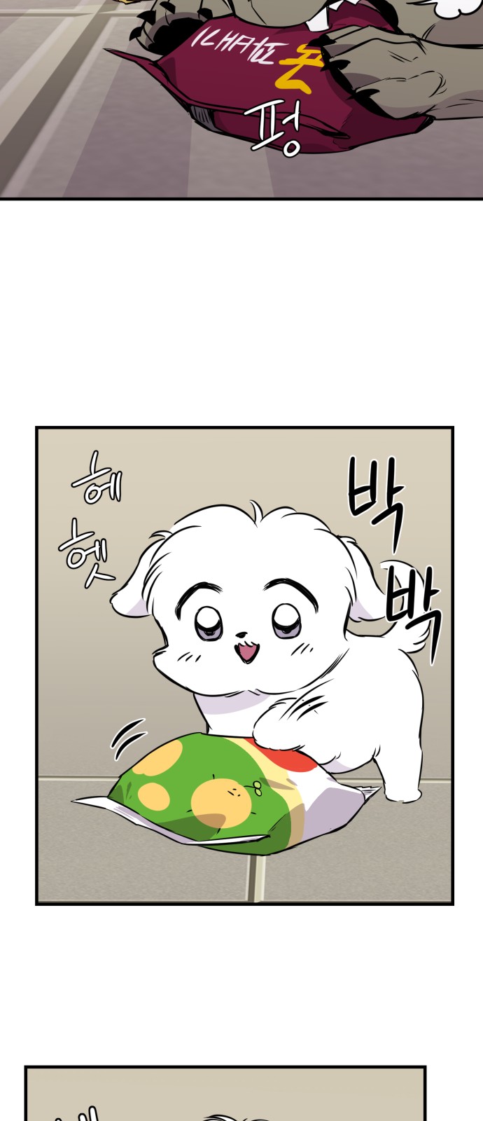 39 페이지