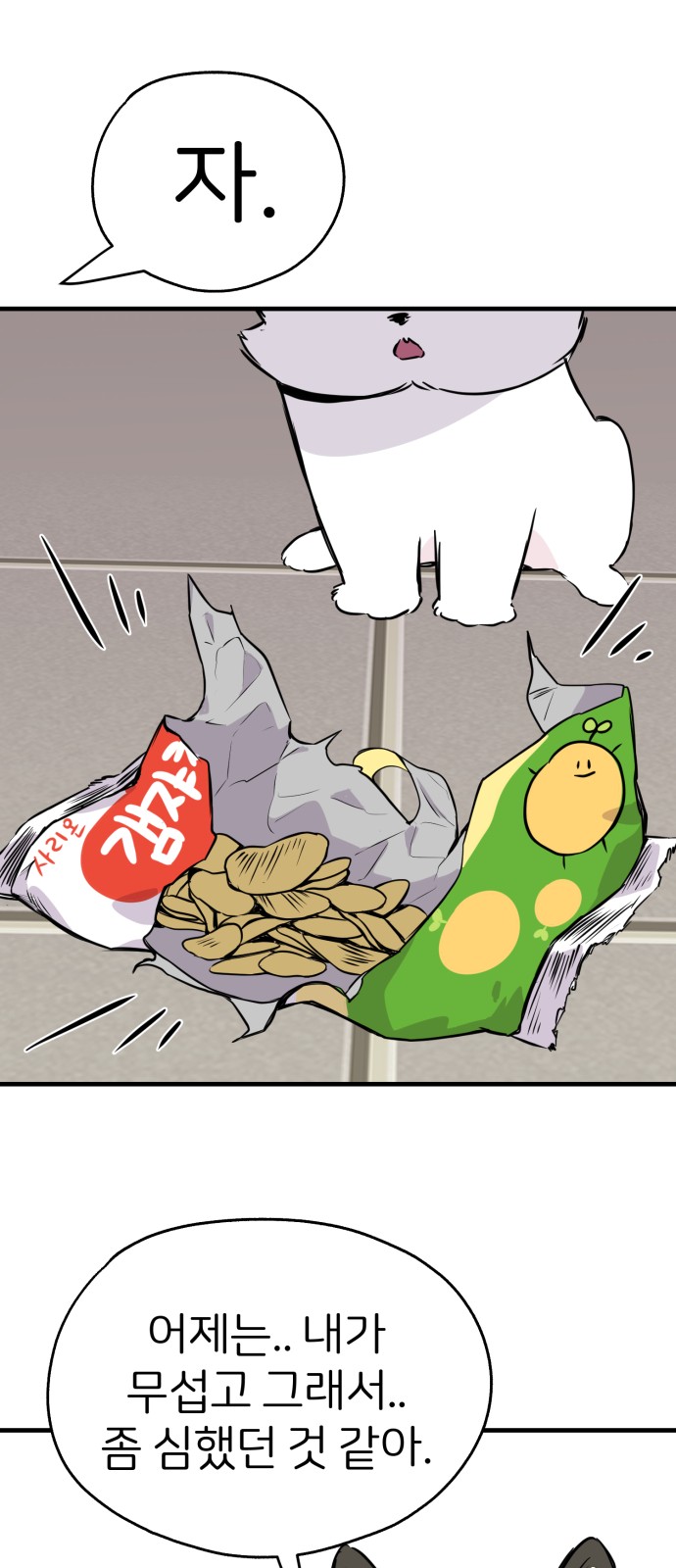 43 페이지