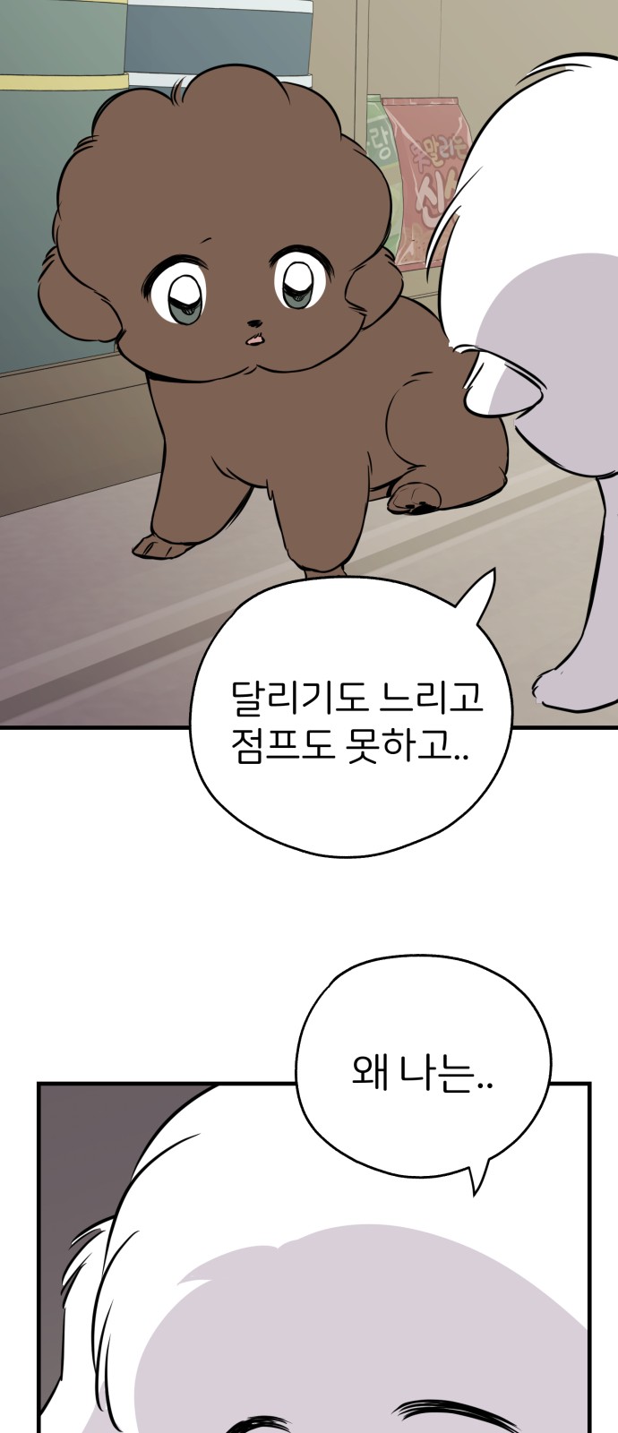47 페이지