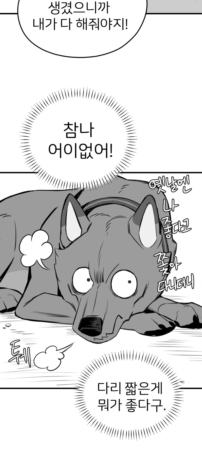53 페이지