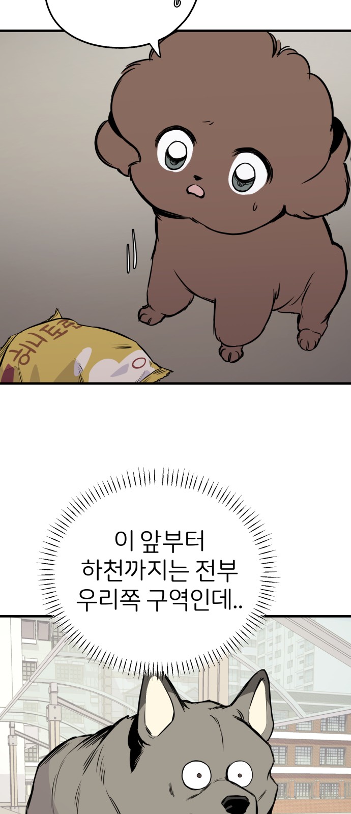 19 페이지