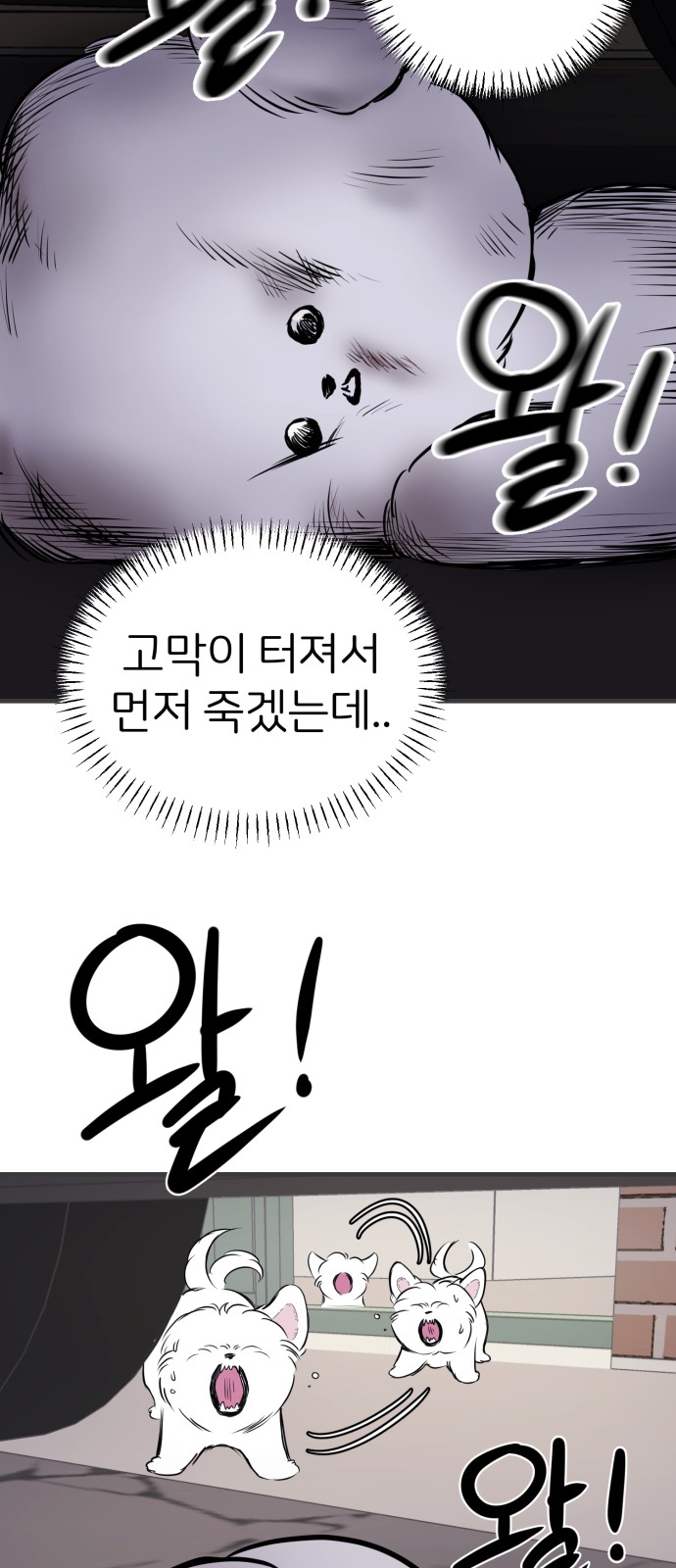 52 페이지