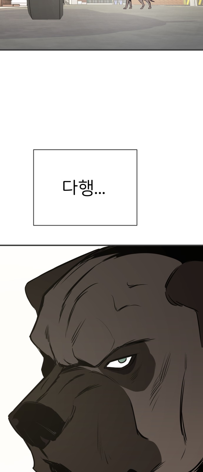 80 페이지