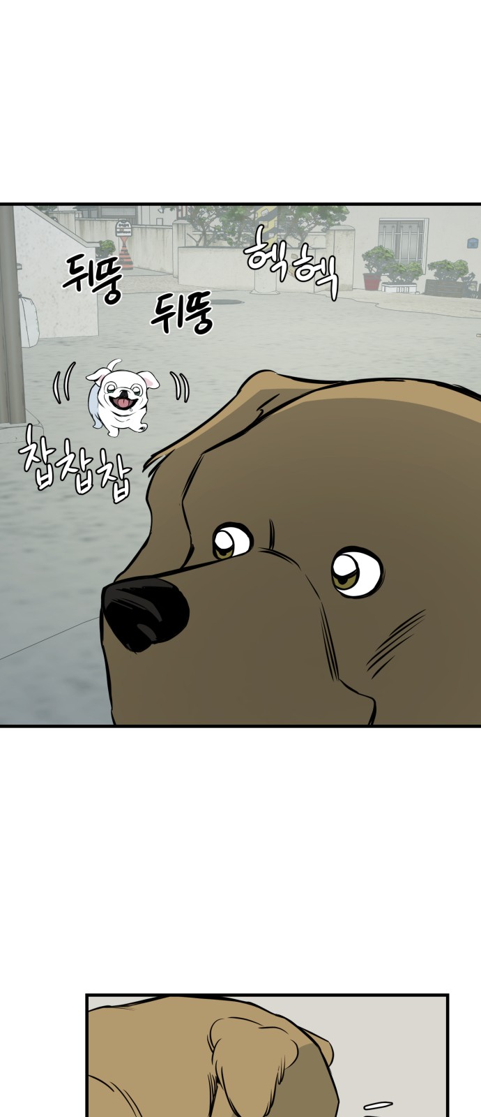 44 페이지