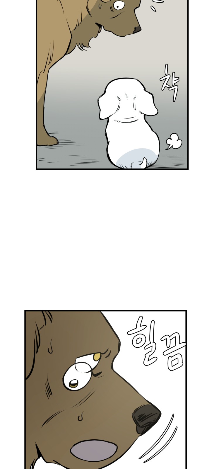 45 페이지