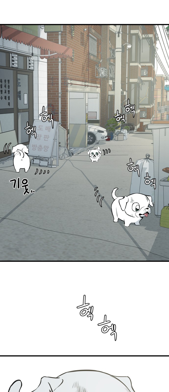 51 페이지