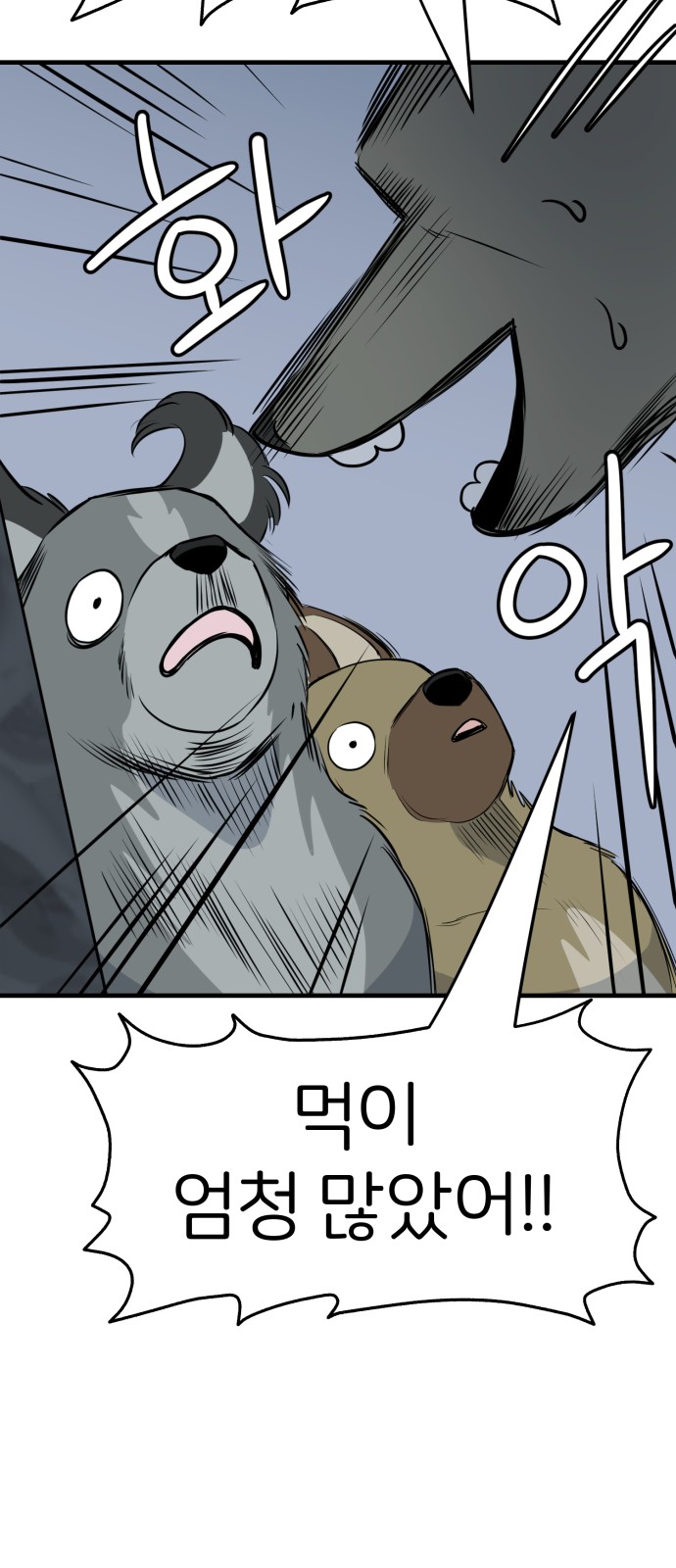 49 페이지