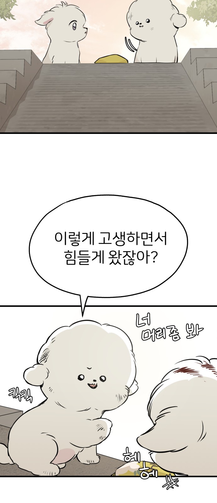 20 페이지